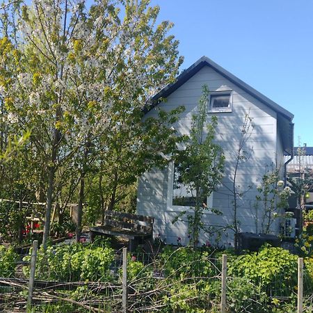 Tuinhuisje In Het Groen Almere Esterno foto
