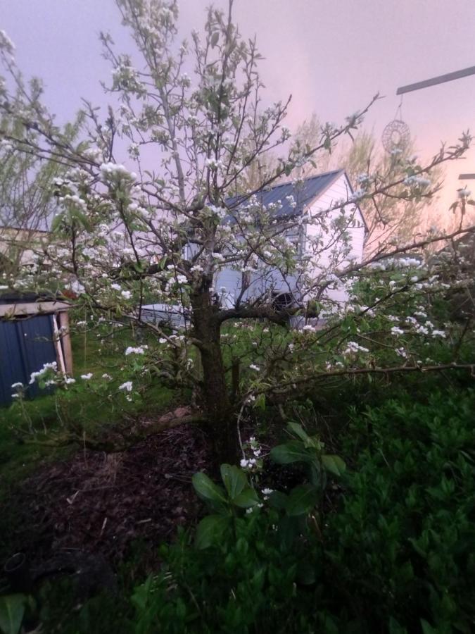 Tuinhuisje In Het Groen Almere Esterno foto