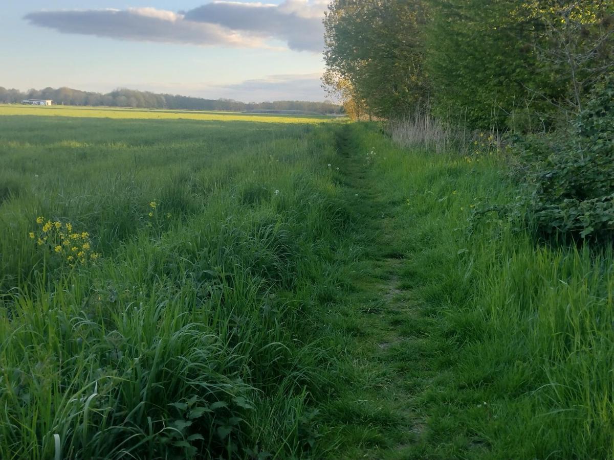 Tuinhuisje In Het Groen Almere Esterno foto