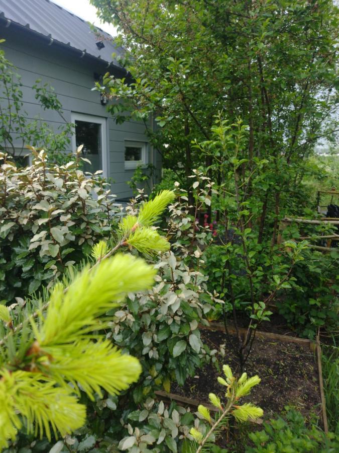 Tuinhuisje In Het Groen Almere Esterno foto