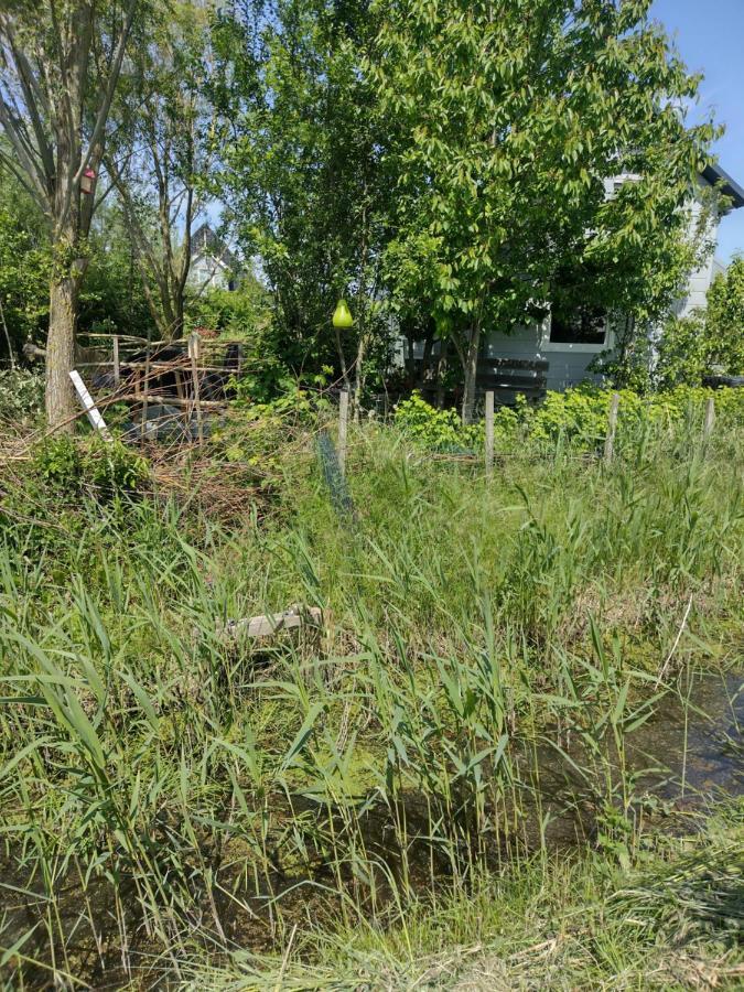 Tuinhuisje In Het Groen Almere Esterno foto
